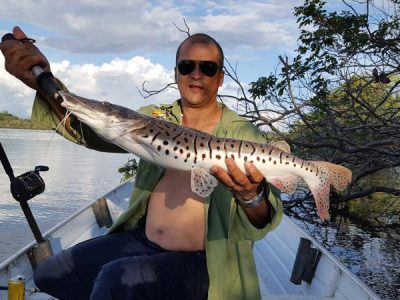 galerias-de-pesca-gb-1-b9101